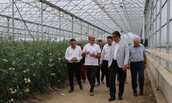 Bakanlık heyeti Samsun'da! Tarım için kritik inceleme