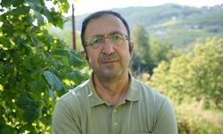 Samsun'da Prof. Dr. Ümit Serdar açıkladı! Fındıkta bu yöntem yaygınlaşmalı