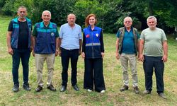 Ayvacık'ta kokarcaya karşı biyolojik mücadele sürüyor
