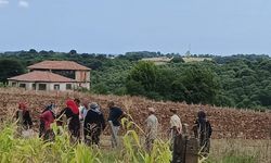 Samsun'da korkunç olay! Cesedi tarlada yanmış halde bulundu
