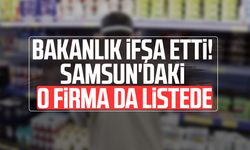 Bakanlık ifşa etti! Samsun'daki o firma da listede