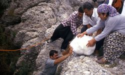 Bir zamanlar yazın vazgeçilmeziydi! Şimdi unutuluyor