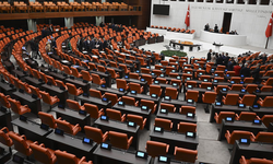 Çerçeve Yasa nedir? Düzenlemede hangi maddeler var?