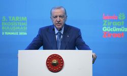 Cumhurbaşkanı Erdoğan'dan çiftçilere peş peşe müjde!