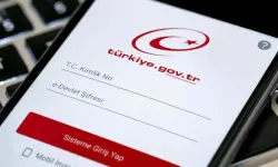 e-Devlet'te akın var! Milyonlarca kişi aynı ekranı kontrol ediyor