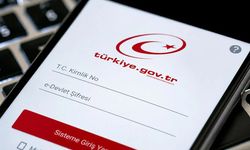 e-Devlet'e giren milyonlarca kişi aynı ekranı kontrol ediyor