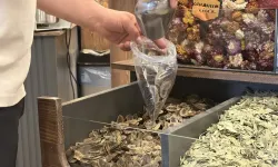 Ter kokusuna karşı doğal formül! Sadece 3 malzeme yetiyor
