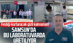 Fındığı kurtaracak gizli kahraman! Samsun'da bu laboratuvarda üretiliyor