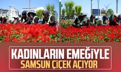 Samsun'da 1 milyon çiçek kadınların emeğiyle toprakla buluştu