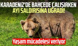 Karadeniz'de bahçede çalışırken ayı saldırısına uğradı!