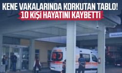KKKA vakalarında korkutan tablo! 10 kişi hayatını kaybetti