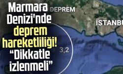 Marmara Denizi'nde deprem hareketliliği! "Dikkatle izlenmeli"