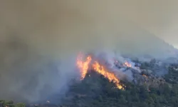 Muğla'da orman yangını büyüyor! Mahalle tahliye ediliyor