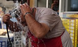 Rakamlar endişe verici: Türkiye'de 75 yıldır böylesi görülmedi