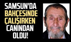 Samsun'da kestiği ağacın altında kalan Recep Saliç yaşamını yitirdi