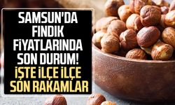 Samsun'da güncel fındık fiyatları 22 Temmuz Çarşamba