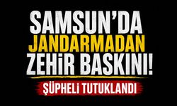 Samsun'da jandarmadan zehir baskını! Şüpheli tutuklandı