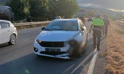 Samsun'da kaza! 3 kişi yola savruldu