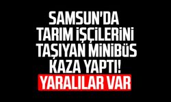 Samsun'da tarım işçilerini taşıyan minibüs kaza yaptı! Yaralılar var