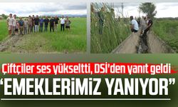 Samsun'da üretici isyanda! "Emeklerimiz yanıyor"