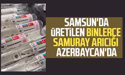 Samsun'da üretilen binlerce samuray arıcığı Azerbaycan'da