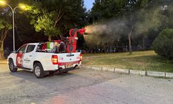 Samsun'da vektörle mücadelede yoğun mesai