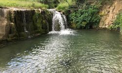 Samsun'daki bu doğa harikası destek bekliyor