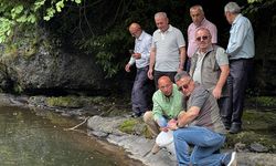 Samsun'daki derelere binlercesi bırakıldı!