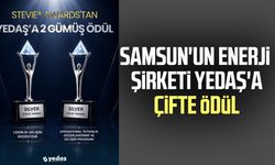 Samsun'un enerji şirketi YEDAŞ'a çifte ödül