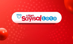 10 Ağustos Çılgın Sayısal Loto sonuçları açıklandı