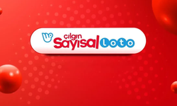 24 Ağustos Çılgın Sayısal Loto Sonuçları açıklandı