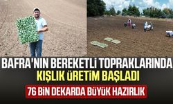 Bafra'da tarlalarda hareketlilik! Kışlık sebze mesaisi