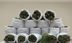 Samsun'da araziye baskın! Tam 138 kilo ele geçirildi