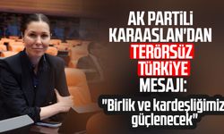 AK Partili Çiğdem Karaaslan'dan "Terörsüz Türkiye" mesajı: "Tarihi adım"