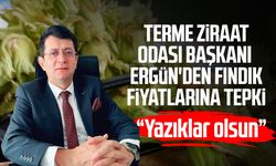 Terme Ziraat Odası Başkanı Ferda Ergün'den fındık fiyatlarına tepki