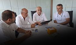 Bafra'da çeltik raporu açıklandı! Üreticiden çağrı