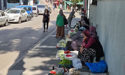 Boyu küçüldükçe fiyatı artıyor! Samsun'da ilginç fiyat dengesi
