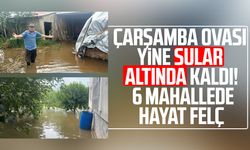 Çarşamba Ovası yine sular altında kaldı! 6 mahallede hayat felç