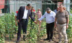 Çarşamba Ovası’nda sağanak 5 bin dekar araziye zarar verdi