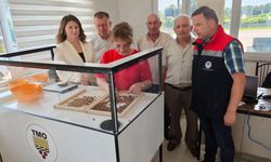 Çarşamba’da TMO fındık alımları başladı