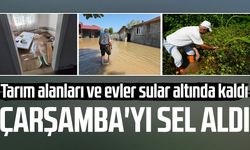 Çarşamba'yı sel aldı: Tarım alanları ve evler sular altında kaldı