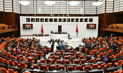 Çerçeve yasa Meclis’te kabul edildi mi? Maddeleri neler?