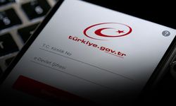 e-Devlet'e eklenen yeni hizmet dikkat çekti