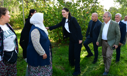 AK Partili Çiğdem Karaaslan'dan Terme çıkarması