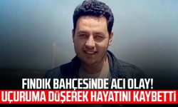 Fındık bahçesinde acı olay! Uçuruma düşerek hayatını kaybetti