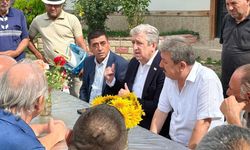 Dr. Murat Çan'dan Havza'daki taş ocağı projesine tepki
