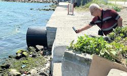 Samsun sahilinde ilginç görüntü! Karpuz ziyafeti yaptı