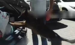Samsun'a sevk edilecekti! 50 bin 792 adet sentetik ecza ele geçirildi