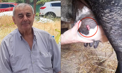 Samsun’da amcasını öldürmüştü! Şaşırtan detay ortaya çıktı