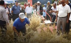 Samsun'da ata tohumu geleceğe taşınıyor